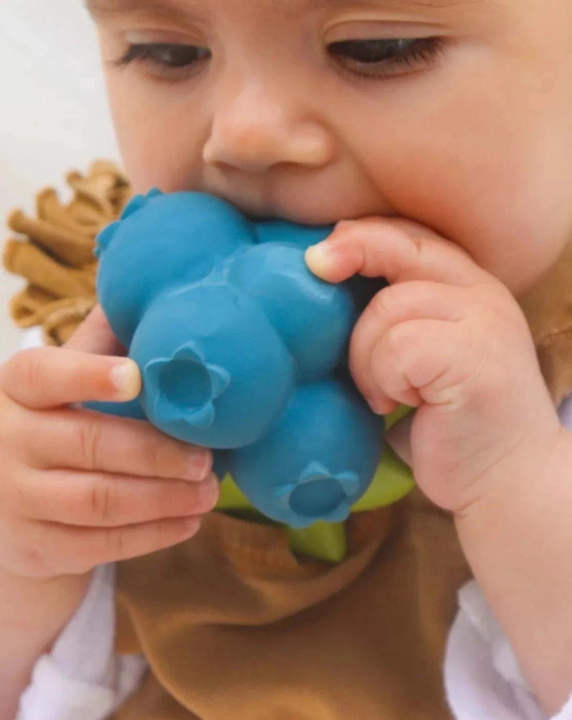 Jerry the Blueberry - Mordedor Oli&Carol