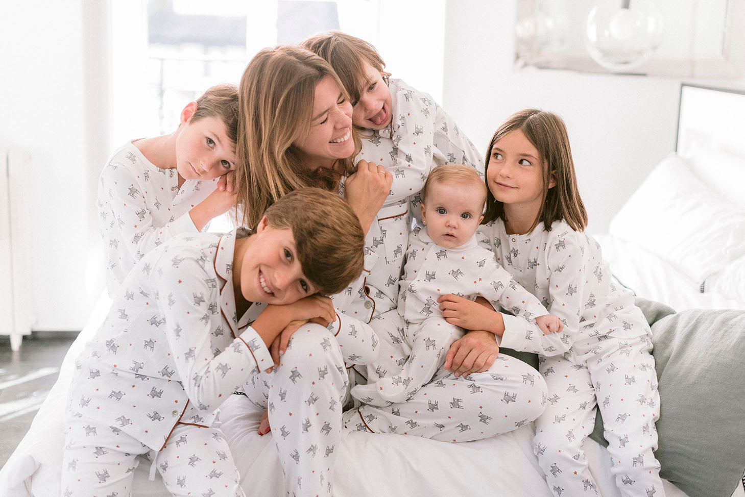 Familias Conjuntadas