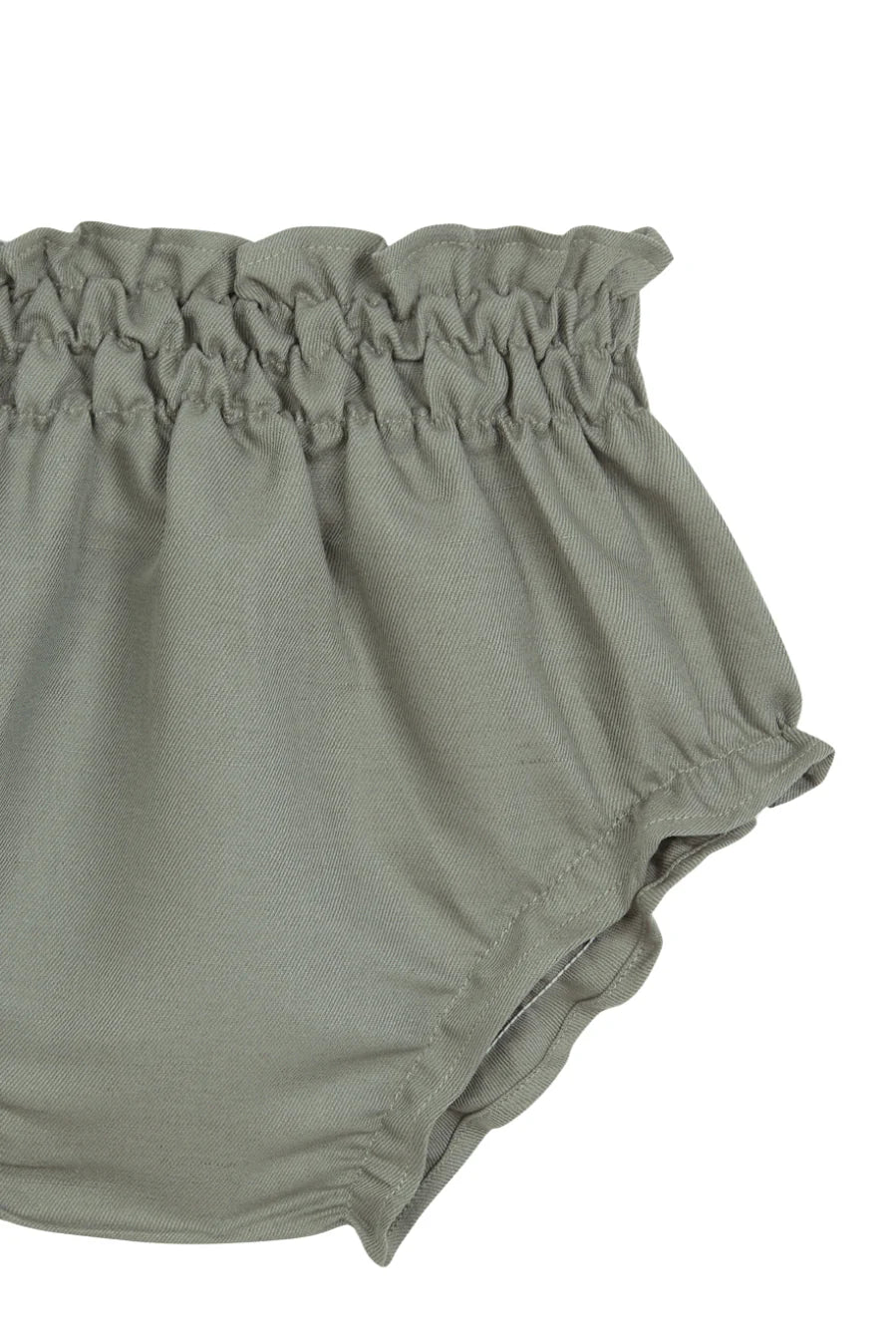 Braguita Liquen