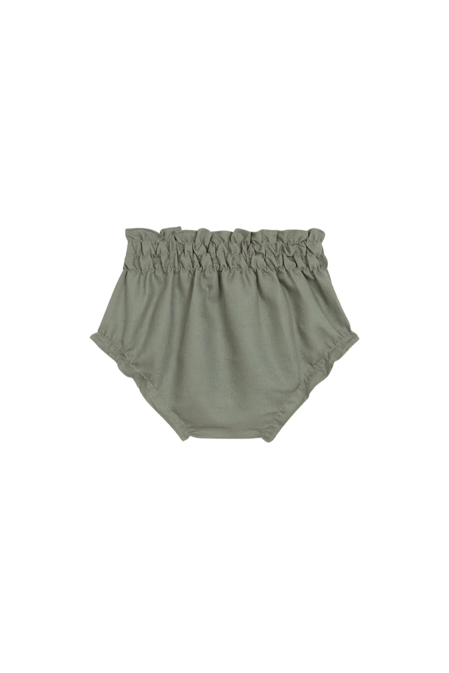 Braguita Liquen