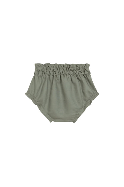 Braguita Liquen