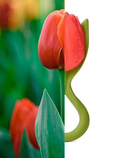 Theo the Tulip - Mordedor Oli&amp;Carol